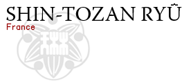Logo Shin-Tozan Ryû